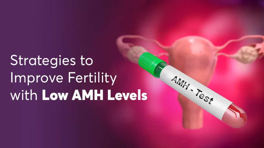 Understanding AMH & Fertility
