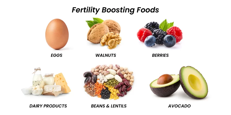 Diet Tips During Fertility Treatment